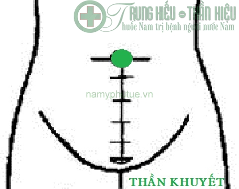 phuong-phap-massage-bam-huyet-tri-tao-bon-3